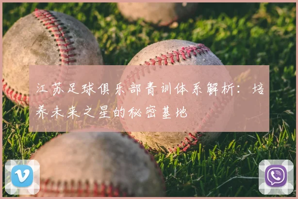 江苏足球俱乐部青训体系解析:培养未来之星的秘密基地